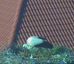 2010-05-14_072137.jpg