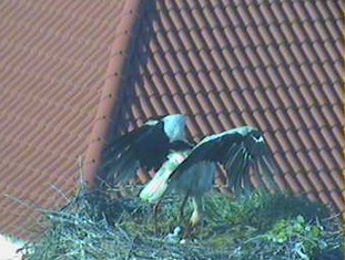 2010-05-14_073152.jpg