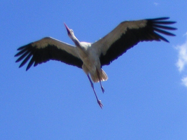DSCF5338.JPG