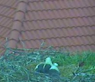 2010-05-15_072547.jpg