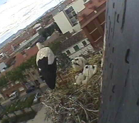 2010-05-15_124501.jpg