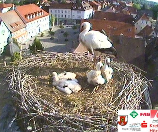 höchstadt1.jpg