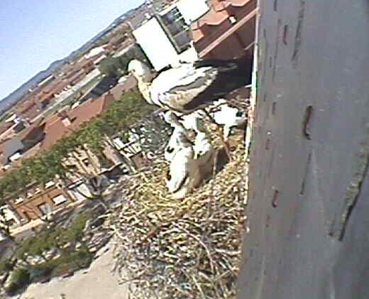 2010-05-16_113503.jpg