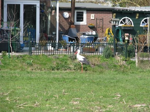 ankeveen 090402-2.jpg