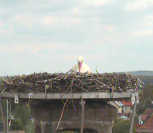 2010-05-16_145149.jpg