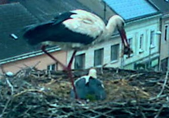 2010-05-17_054032.jpg