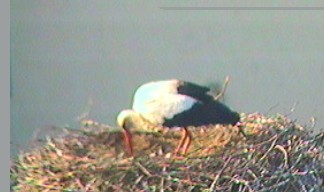 2010-05-17_074228.jpg