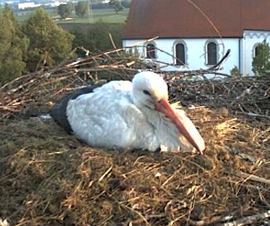 2010-05-18_062930.jpg