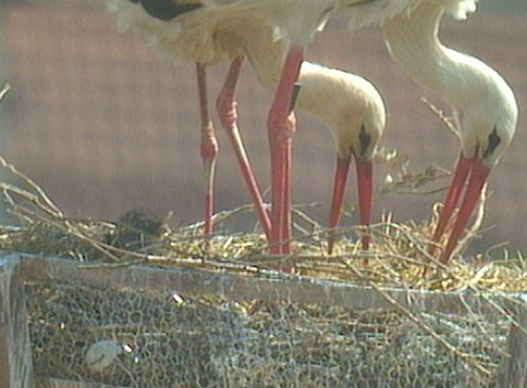 2010-05-18_141102.png