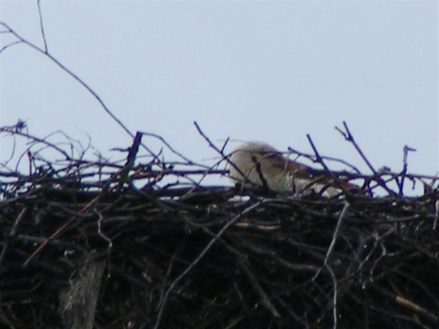 DSCF9764 (Small).JPG