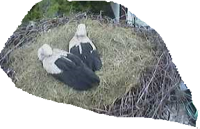 2010-05-19_132539.png