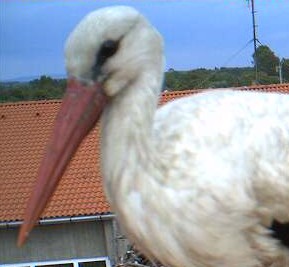 2010-05-19_154355.jpg