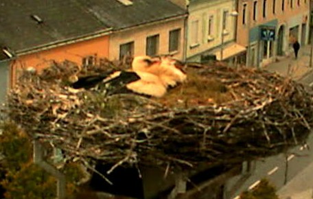 2010-05-19_163253.jpg
