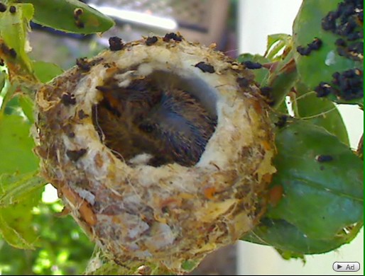2010-05-19_222205.jpg