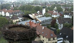 2010-05-20_082254.jpg