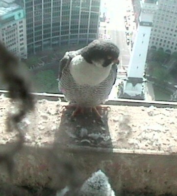 2010-05-20_152957.jpg