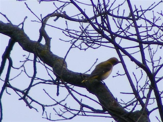 DSCF9898 (Small).JPG