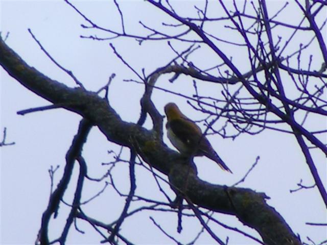 DSCF9899 (Small).JPG
