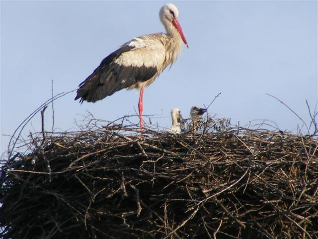 DSCF9883 (Small).JPG