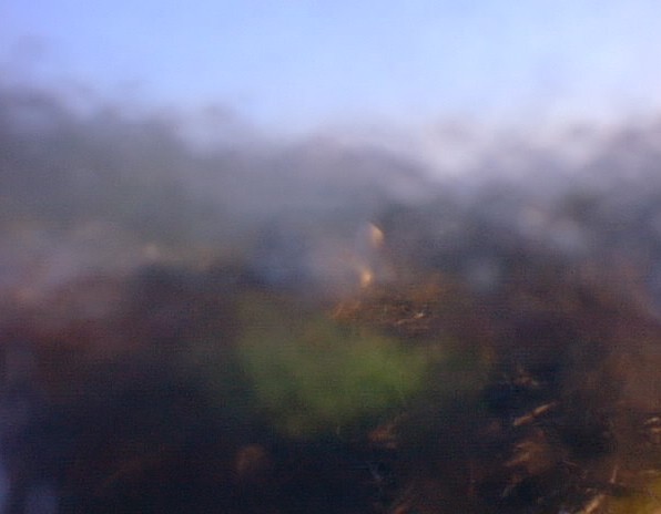 2010-05-22_064031.jpg