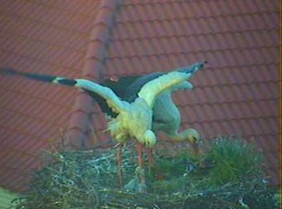 2010-05-23_053625.jpg