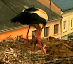 2010-05-23_080142.jpg