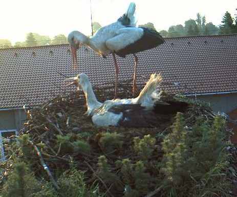 2010-05-24_053856.jpg