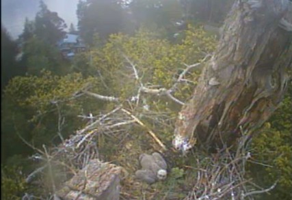 2010-05-24_143014.jpg