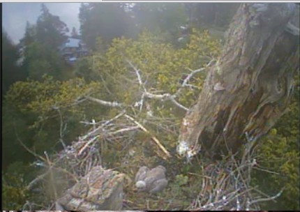2010-05-24_142847.jpg