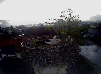 2010-05-25_070136.jpg