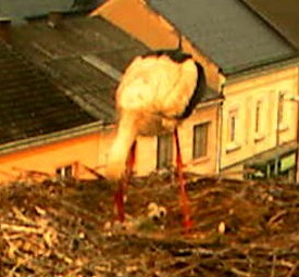 2010-05-25_080110.jpg