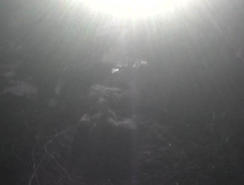 2010-05-26_061746.jpg