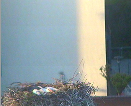 2010-05-26_062128.jpg