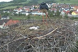 2010-05-26_063109.jpg