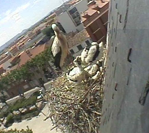 2010-05-26_134027.jpg