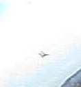 2010-05-27_073645.jpg