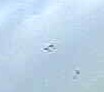 2010-05-27_075428.jpg
