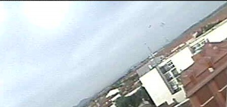 2010-05-27_084131.jpg