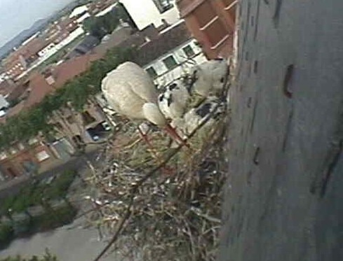 2010-05-27_084233.jpg