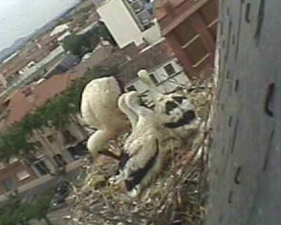 2010-05-27_122257.jpg