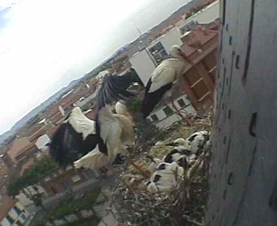 2010-05-27_144737.jpg