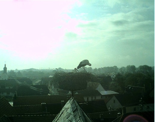 2010-05-28_080530.jpg