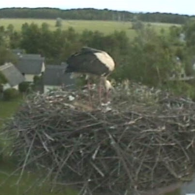 2010-05-28_194229.jpg