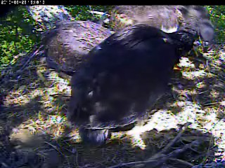 2010-05-28_221927.jpg