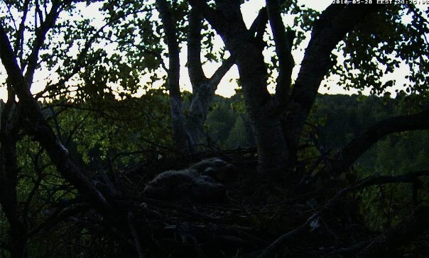 2010-05-28_222600.jpg