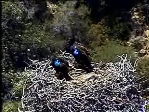 2010-05-28_224707.jpg