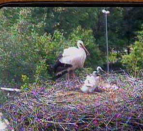 2010-05-29_135237.jpg