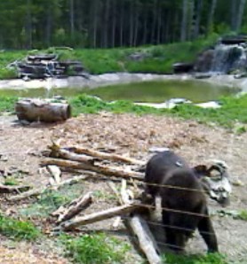 2010-05-29_174947.jpg