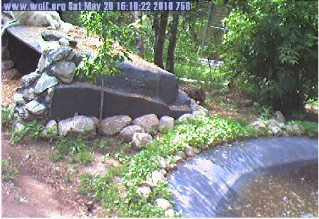 2010-05-29_231950.jpg