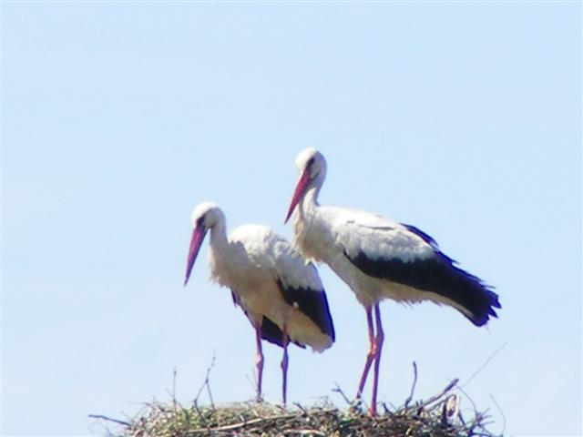 DSCF9982 (Small).JPG